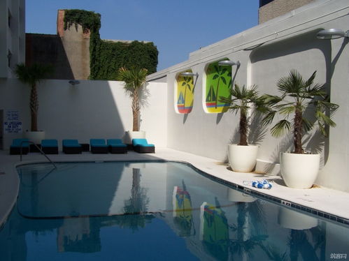 棕榈树图案的衣服牌子