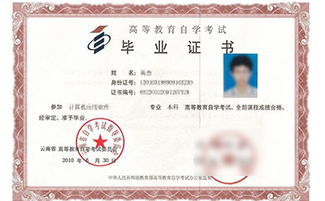 大理大学专升本有哪些专业