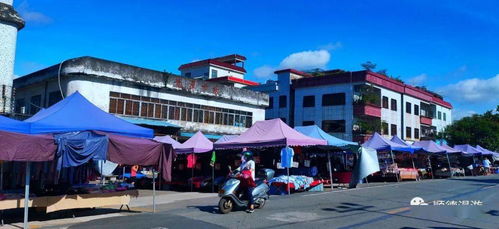 顺德杏坛门东村视频，顺德杏坛门 ftp