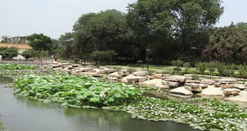 八月至九月份安徽省定远县的天气情况