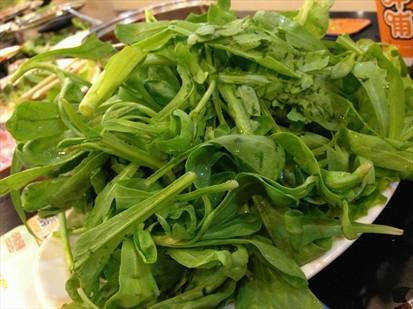 蓬蒿的解释蓬蒿的解释是什么