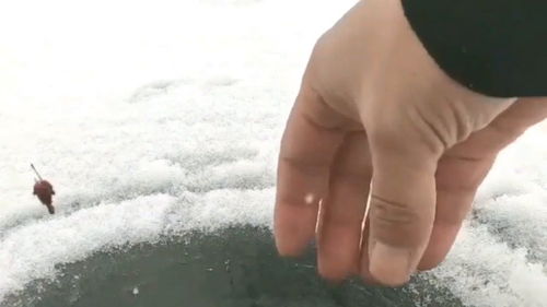 洗衣机的大物是什么意思，敢于质疑的伽利略中的庞然大物是什么意思