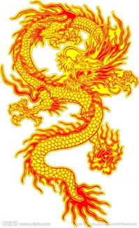 龙,的拼音是多少。