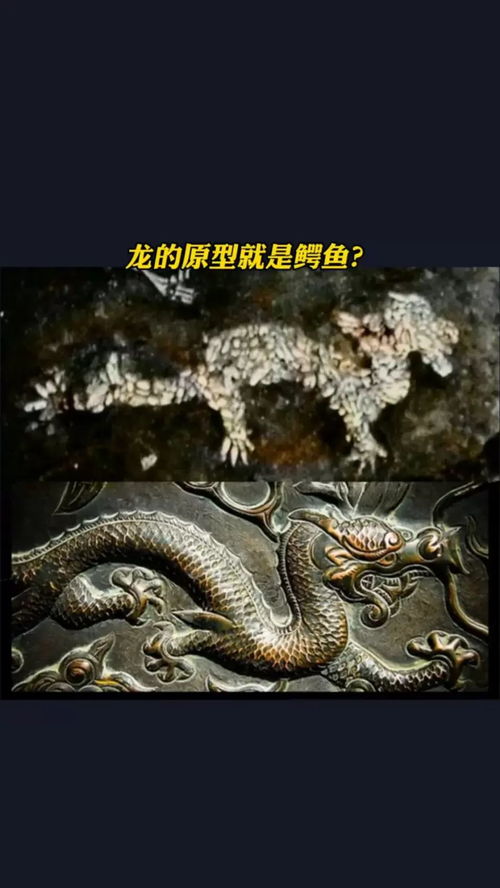西游记中的鼍龙是怎样的妖怪?