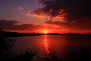 回光返照出自哪