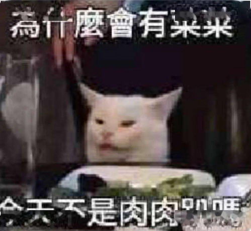 我选我课文，我选我当班长