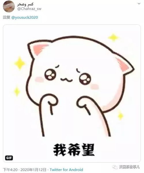 人教版二年级上册语文课时特训《我选我》答案