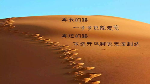 诲的意思和组词，寻的意思文言文