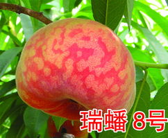 蟠青丛翠，蟠虺