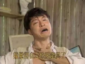 网络流行的各种“体”有哪些?