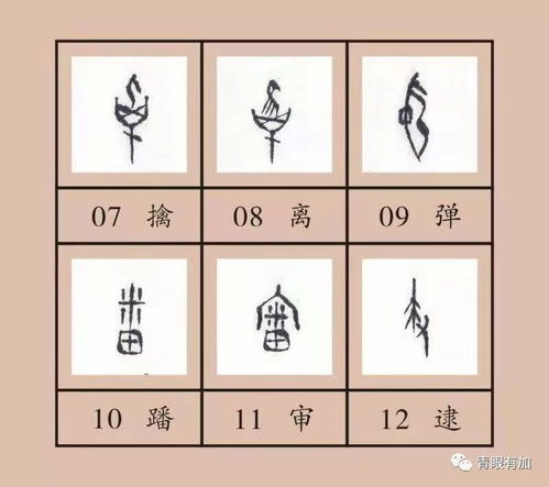 网开一面是什么意思?