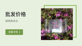 续的组词有什么