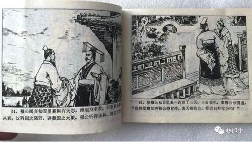 五羖大夫什么意思?