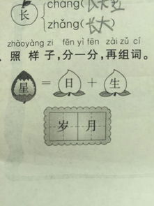 巾组词怎么组