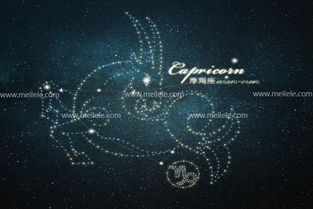 2月的星座是什么