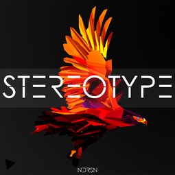 stereo type是什么意思