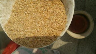 面粉的拼音怎么写，磨成面粉的拼音