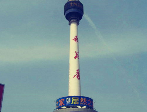 东星旅行社和东星国际旅行社的区别?
