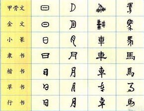 关于汉字的知识有哪些?