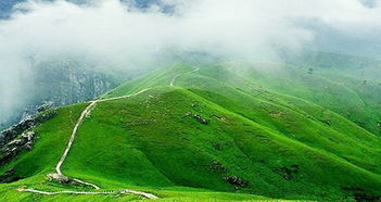 吉林双辽天气预报15天，吉林双辽天气预报15天查询