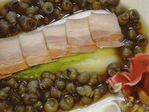 行容很小却什么都有的歇后语