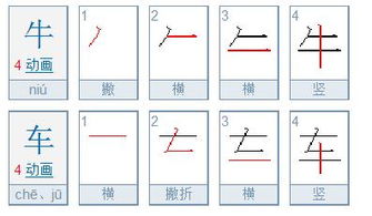 牛的笔顺 正确