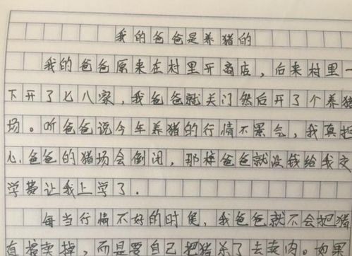 初一我很傻作文500字左右