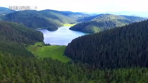 形容蓬勃发展的成语