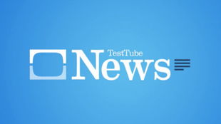 enrich是什么意思 翻译enrich的意思