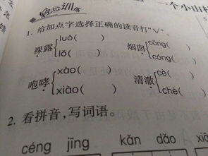 艳的组词有哪些?