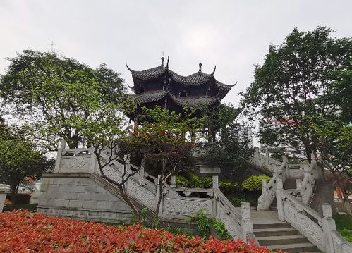 兹或可书以视后,盖因合江而发之翻译