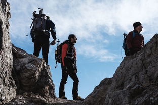 攀登的意思拼音