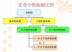 不饱和脂肪酸是什么意思 不饱和脂肪酸是啥意思