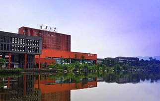 重大是985还是211大学