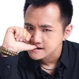 大唐歌飞的演员