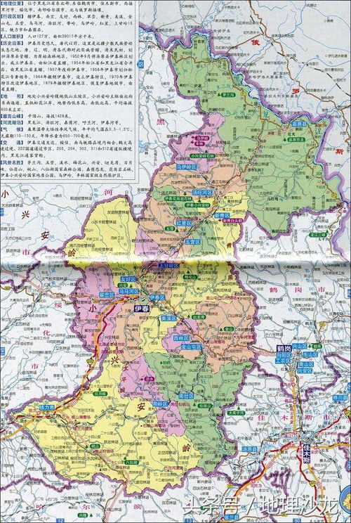 伊春市伊美区属于哪个区