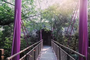 晌什么意思?近义词和反义词是什么?英文翻译是什么?