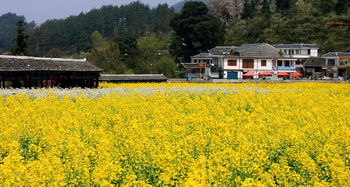 贵定天气预报15天查询百度，黔南贵定天气预报