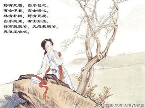 诗经的简介介绍