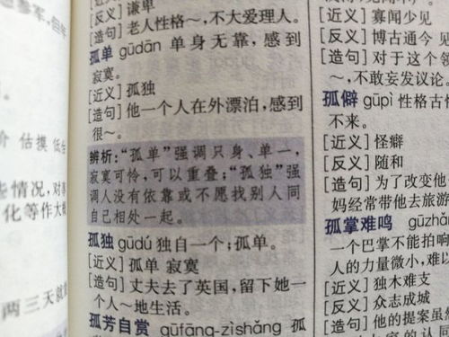 包括的同义词是什么