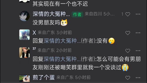 solo什么意思