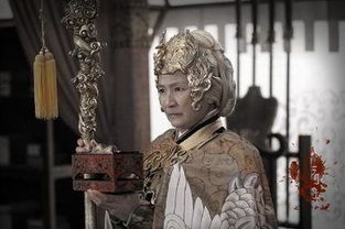 百岁挂帅佘太君的生平简介?
