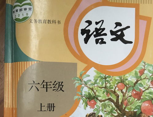 泊的多音字怎么组词