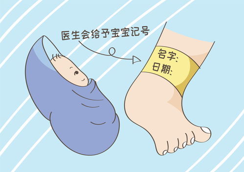 膀大腰粗的意思，膀大腰圆的意思解释是什么生肖