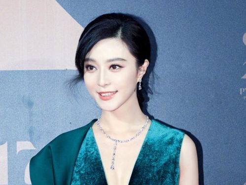 求范冰冰范爷个人简历