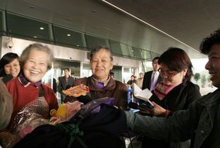 湖北东方国际旅行社有限公司的管理团队