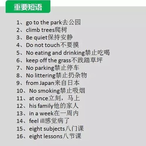 词组是什么意思