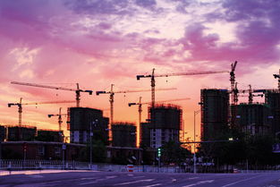 用蓬勃发展进行造句?