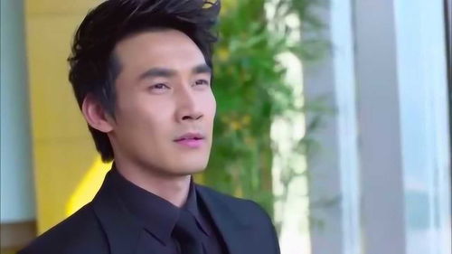 率与律的区别是什么