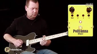 波丽安娜读后感